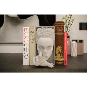 Bride of Frankenstein Book Nook - Classic Horror Bookshelf Diorama